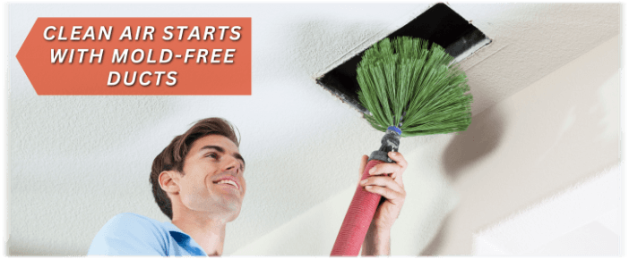 Air Duct Mold Removal in Haltom City TX