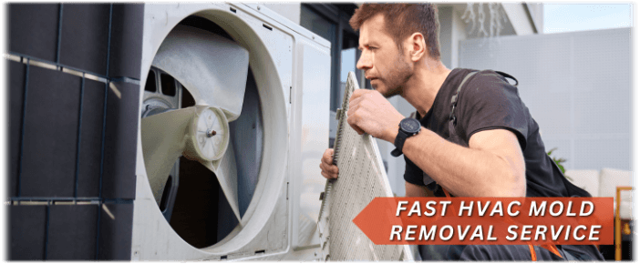 HVAC Mold Removal Haltom City TX